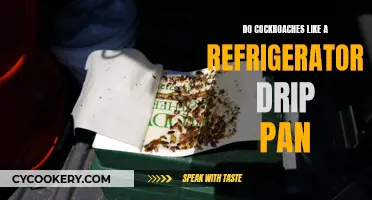Cockroaches and Fridge Drip Trays: A Haven?