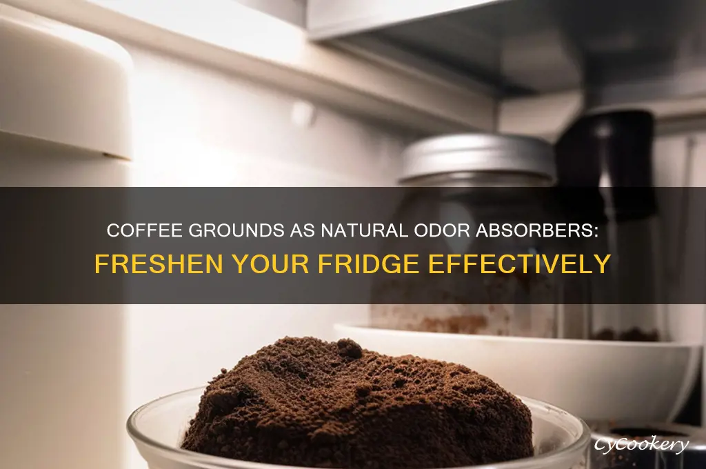 do coffee grounds absorb odors in refrigerator