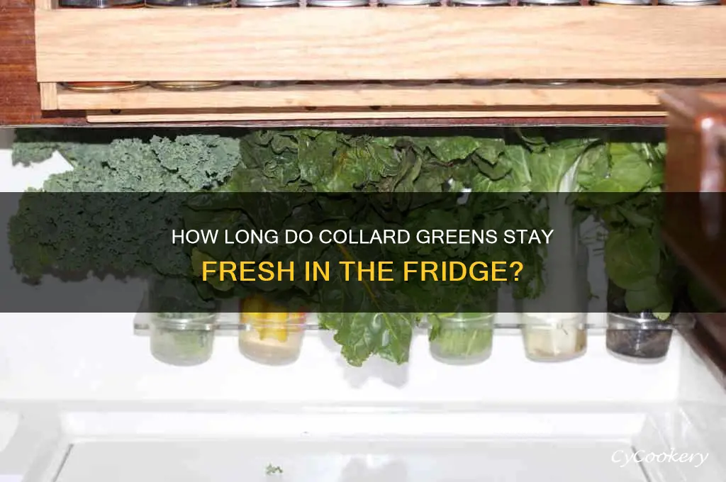 do collard greens stay in the refrigerator