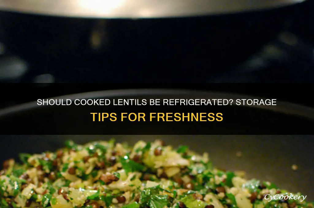do cooked lentils have to be refrigerated