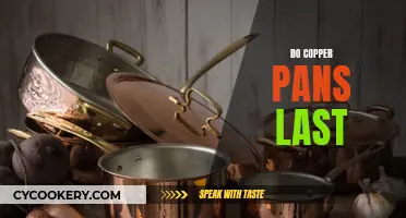 Copper Pans: Long-Lasting Kitchenware?