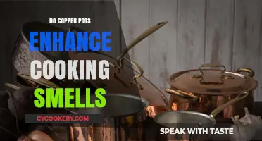 Copper Pots: Enhancing Aromas for Culinary Excellence