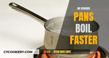 Covered Pans: Faster Boiling?
