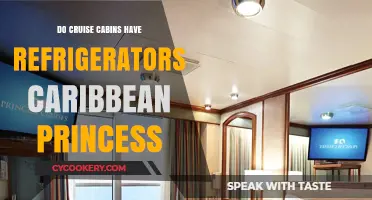 Caribbean Princess Cruise Cabins: Do They Include Refrigerators?