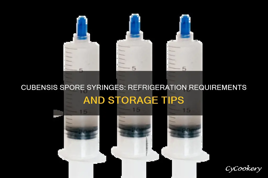 do cubensis spore syringes have to be refrigerated