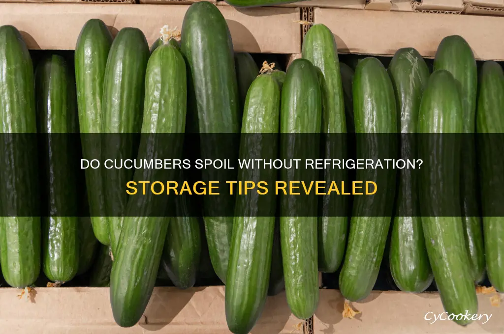 do cucumbers go bad if not refrigerated
