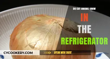 Can Cut Onions Grow in the Fridge? Surprising Facts Revealed