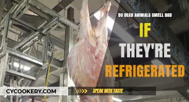 Refrigerated Remains: Do Dead Animals Retain Foul Odors?