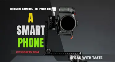 Digital Cameras vs Smartphones: Panoramic Photography