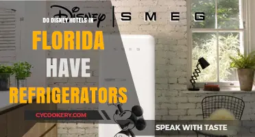 Do Disney Hotels in Florida Include Refrigerators? Find Out Here