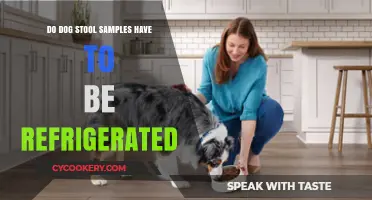 Should Dog Stool Samples Be Refrigerated? Expert Tips for Pet Owners