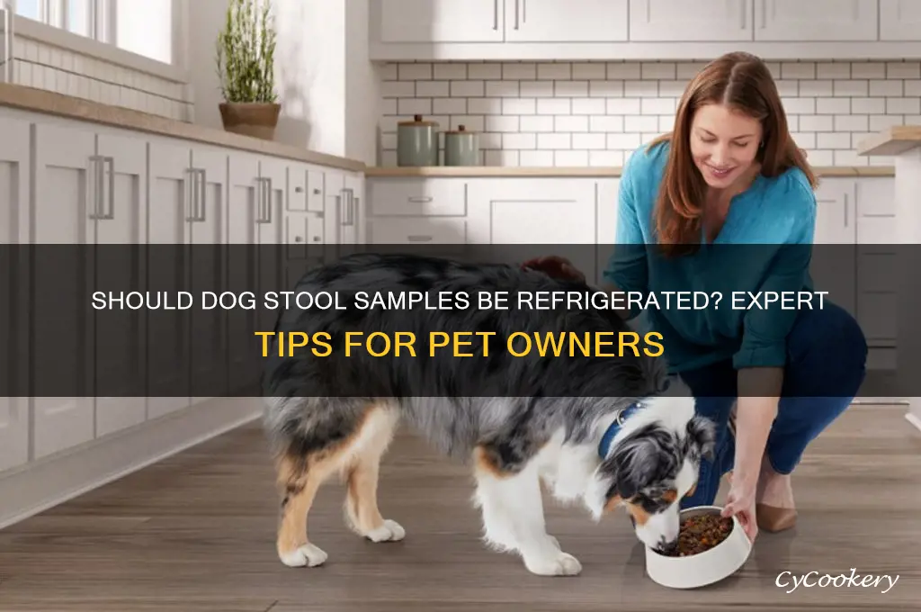 do dog stool samples have to be refrigerated