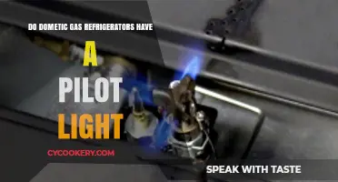 Do Domestic Gas Fridges Have a Pilot Light? Explained