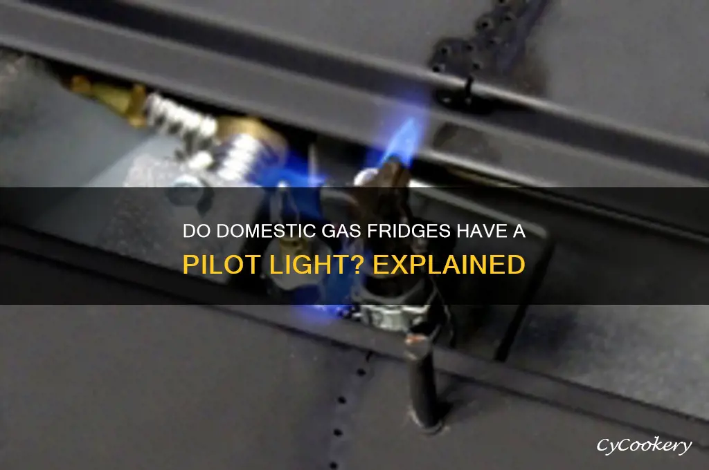 do dometic gas refrigerators have a pilot light
