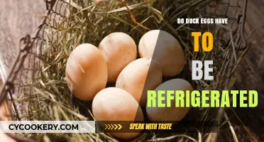 Do Duck Eggs Need Refrigeration? Essential Storage Tips Revealed