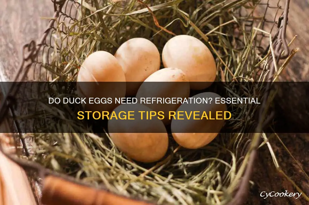do duck eggs have to be refrigerated