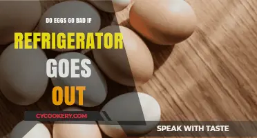 Eggs Without Power: How Long Do They Last Unrefrigerated?