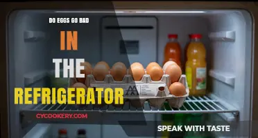Do Eggs Expire? Refrigerator Storage Tips and Shelf Life Explained