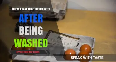 Should Washed Eggs Be Refrigerated? The Surprising Truth Revealed