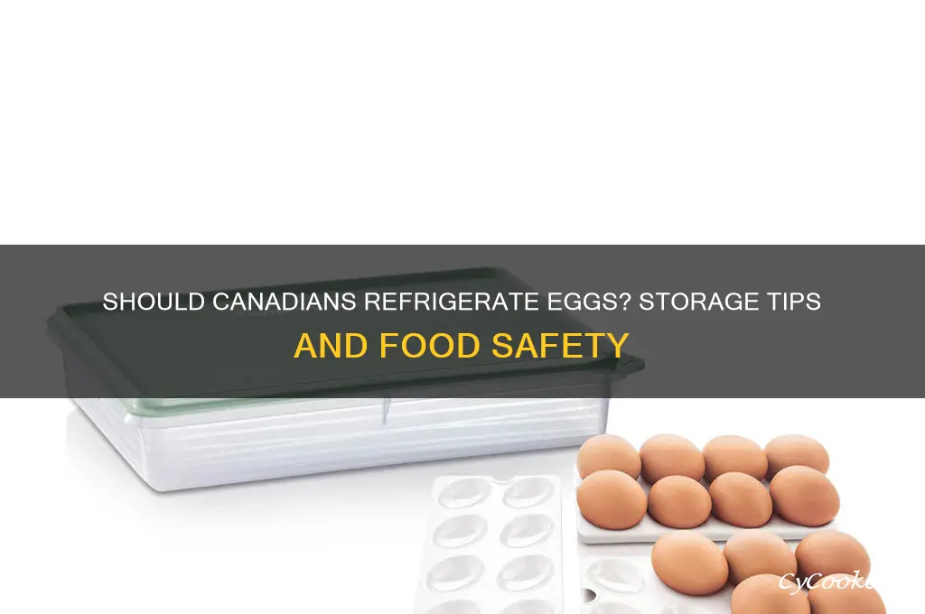 do eggs have to be refrigerated in canada