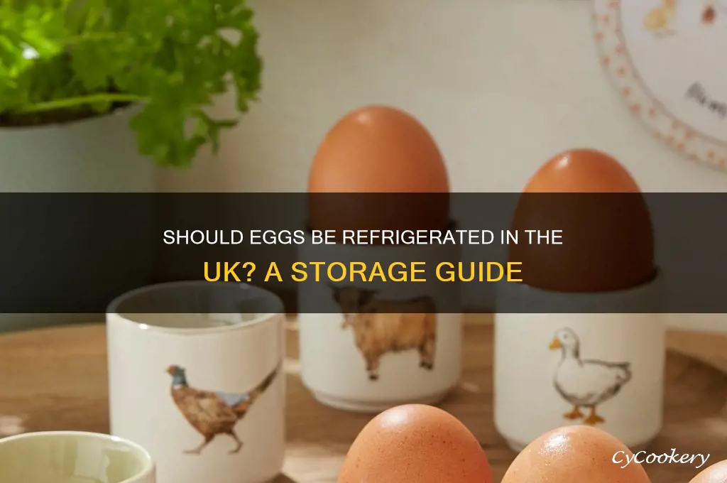 do eggs have to be refrigerated uk