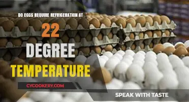 Should Eggs Be Refrigerated at 22°C? Storage Tips Explained