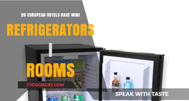 European Hotel Mini Fridges: Are They Standard in Guest Rooms?