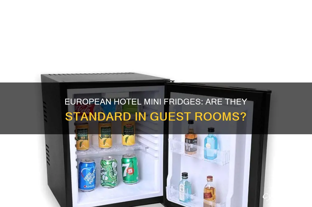 do european hotels have mini refrigerators i rooms
