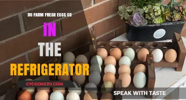 Should Farm Fresh Eggs Be Refrigerated? A Storage Guide