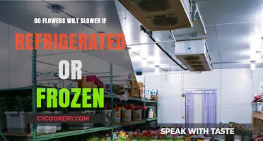 Refrigerate or Freeze: Which Preserves Flowers Longer?