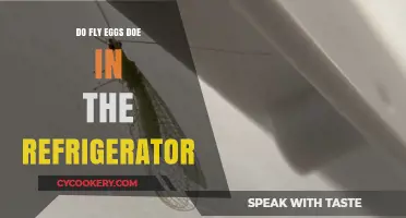 Can Fly Eggs Survive in Your Refrigerator? Facts and Tips