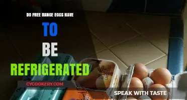 Do Free-Range Eggs Need Refrigeration? The Surprising Truth