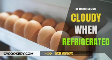 Why Refrigerated Fresh Eggs Turn Cloudy: Explained Simply