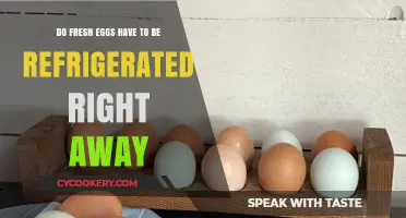 Should Fresh Eggs Be Refrigerated Immediately? A Storage Guide