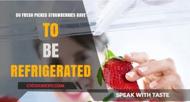 Should Fresh Picked Strawberries Be Refrigerated? Storage Tips Revealed