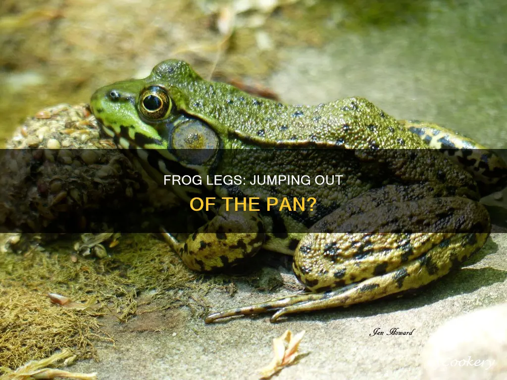 do frog legs jump out of the pan