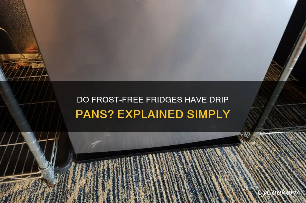 do frost free refrigerators have a drip pan