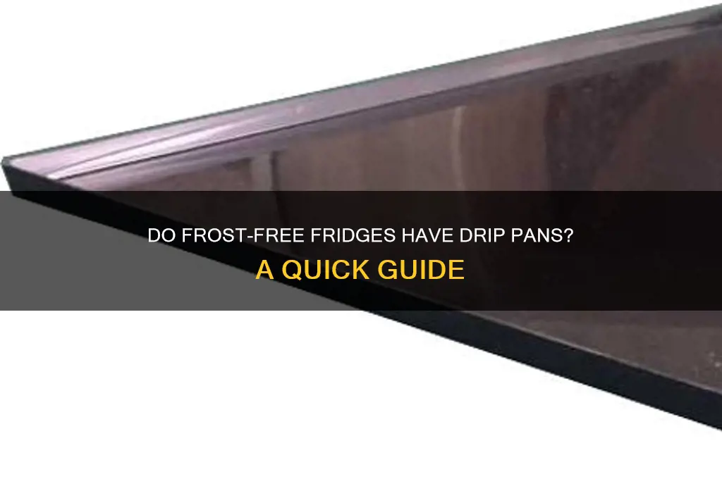 do frost-free refrigerators have drip pans
