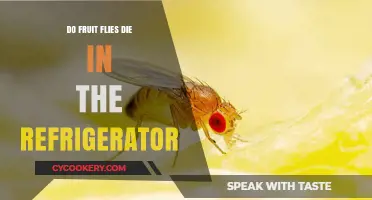 Can Fruit Flies Survive in Your Fridge? The Chilling Truth