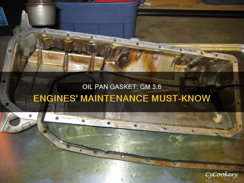 do gm 3.6 engines have an oil pan gasket