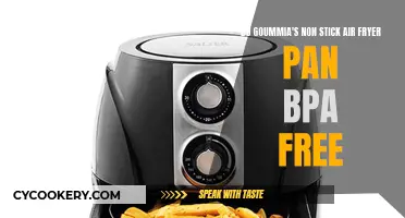 Goummia's Air Fryer Pan: Non-Stick and BPA-Free?