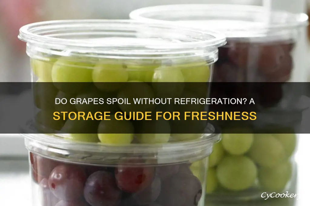 do grapes go bad if not refrigerated