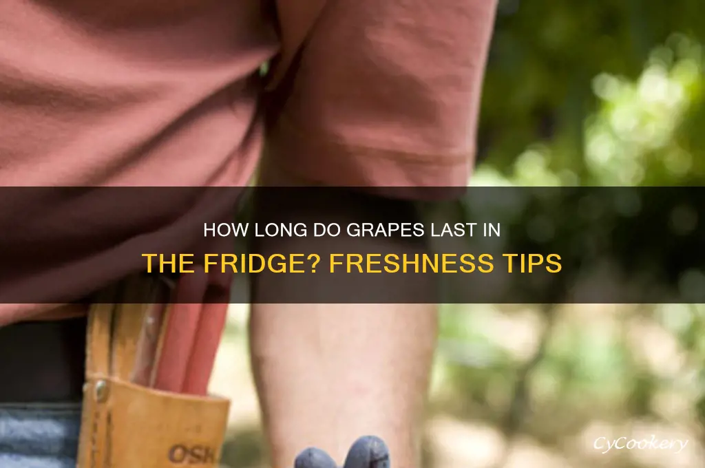 do grapes go bad in the refrigerator