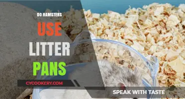 Can Hamsters Be Litter Trained? Tips for Clean Cage Care
