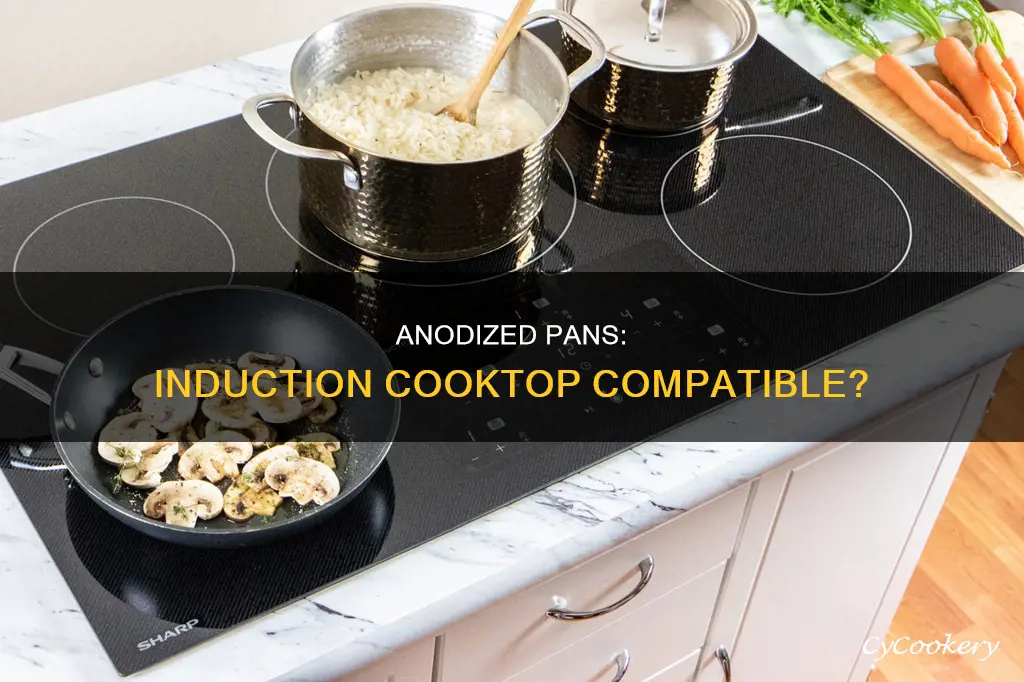 do hard anodized pans work on induction cooktops