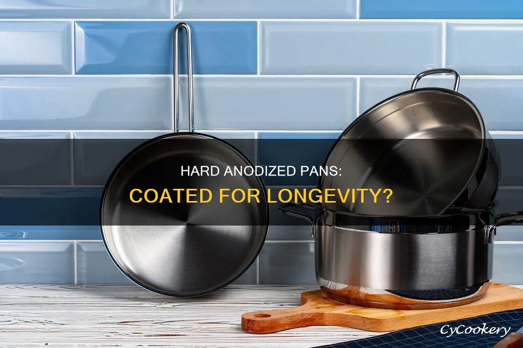 do hard anodizexd pans have a coating