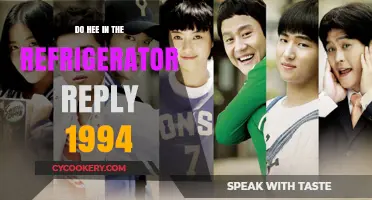 Do Hee's Fridge Moments: A Nostalgic Look at Reply 1994