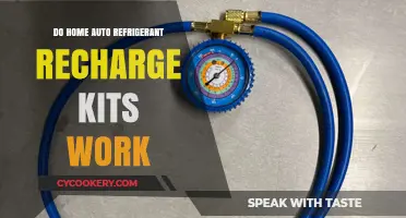 Home Auto Refrigerant Recharge Kits: Effective Solution or Waste of Money?