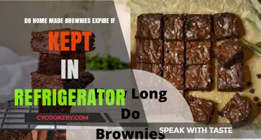 Do Homemade Brownies Expire in the Fridge? Find Out!