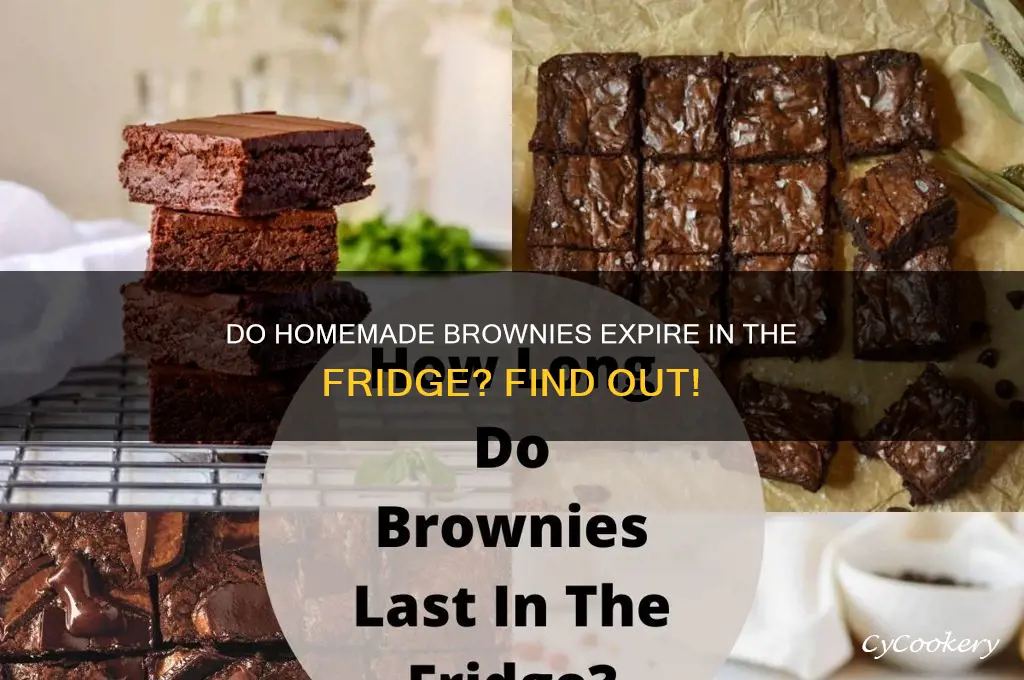 do home made brownies expire if kept in refrigerator